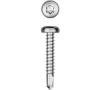 Саморез нержавеющий DS-P, 32x4.8 мм, А2, сверло, полукруглая головка, ТХ25, 250 шт. KRAFTOOL 300931-48-032