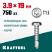 Саморез нержавеющий DS-P, 19x3.9 мм, А2, сверло, полукруглая головка, ТХ15, 750 шт. KRAFTOOL 300931-39-019