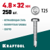 Саморез нержавеющий DS-P, 32x4.8 мм, А2, сверло, полукруглая головка, ТХ25, 250 шт. KRAFTOOL 300931-48-032