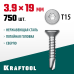Саморез нержавеющий DS-C, 19x3.9 мм, А2, сверло, потайная головка, ТХ15, 750 шт. KRAFTOOL 300932-39-019